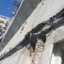 영등제일1 이미지