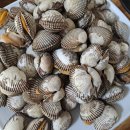 미향식당 이미지