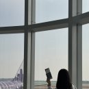 유퍼스트 | 홍콩익스프레스 항공 발권 체크인 기내수화물 유퍼스트 탑승 후기
