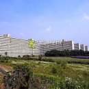 음봉면 음봉로681번길 이미지