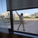 엘코