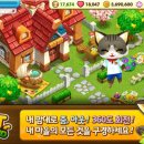 펫아일랜드 이미지