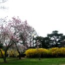 서쪽아이 이미지