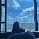 대외활동 농심 펀스터즈16기)발대식 &amp; 짜파게티,신라면 더레드 숏 영상 미션/짜파게티 프로모션 후기✨