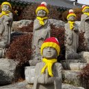 장호원유치원 | [속보] 막내녀석 교대 합격! 온가족 그랜드슬램 달성!!