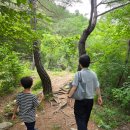 십이폭포로 | 초1 아이와 금산 성봉 십이폭포 후기｜폭포보다 계곡에서 더 오래 놀았던 이유