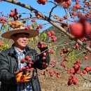 산음영농 이미지