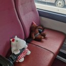 주식회사 더세이프렌터카 | 제주도 렌트카 고민된다면? 더 세이프 렌터카 이용후기(feat.초보운전)