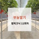 부농바이오 이미지