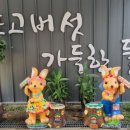 우포1대로 이미지