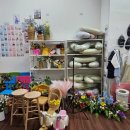 까치사진관 - 부천시 소사구 부광로8번길 36 | 세돌촬영 수원셀프사진관 다다 셀프 스튜디오 영통점