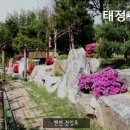 태정펜션