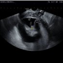 제이산부인과의원 이미지