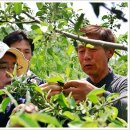 사과나무 - 남동구 백범로406번길 7 | 사과나무