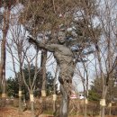 메신저-그곳으로부터 이미지