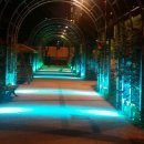 월곶해안로 이미지