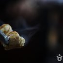서문불고기