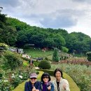 도당공원 이미지