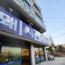 청년대패