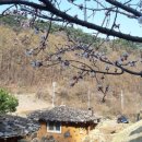 산천토담집 이미지