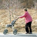 서울제일보조기 이미지