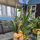 예림학교 이미지