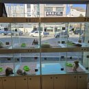 라이프독 강릉점 24시 강아지분양 고양이분양 이미지