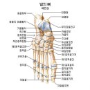 부평피부미용학원 네이버블로그