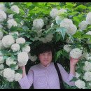 청원스크랩 이미지