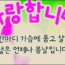 오늘도 내일도 - 고흥군 | 오늘도 내일도