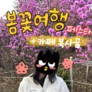 종합운동장화장실(좌) | [부천] 종합운동장 봄 페스타 봄꽃여행 + 카페 복사골 솔직 후기(푸드트럭, 체험, 진달래 만개, 카페...