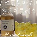 반려동물을 위한 천연아로마제품 원데이 클래스 이미지