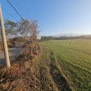 제주가자공인중개사사무소 이미지