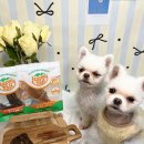 Happy tail 이미지