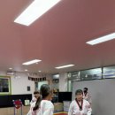 활기찬 태권도 이미지