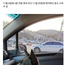 스파크 차주가 면허따고 두달간 저지른 사고 이미지