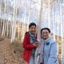 미루상회 이미지