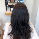 태풍헤어샵 | 대구레이어드펌 동성로레이어드펌 삼덕동레이어드펌 대구헤어샵추천 형플라쥬