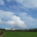 우도니 축산