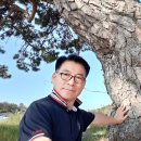 대리마을(2) 이미지