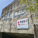 카누 | 충주 활옥동굴 아이랑｜주차부터 카누 대기시간, 솔직 후기