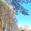 롯데캐슬몰운대아파트1단지 이미지