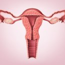 엠에스여성의원 이미지