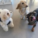 은계유치원 이미지