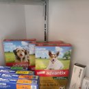 새명약국 이미지