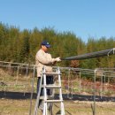 별빛민박농원 이미지