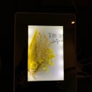 선거웰빙 영농조합법인 이미지