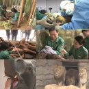 거부농장 이미지