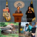 미디어 청양여행사