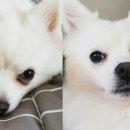 새가야약국 이미지